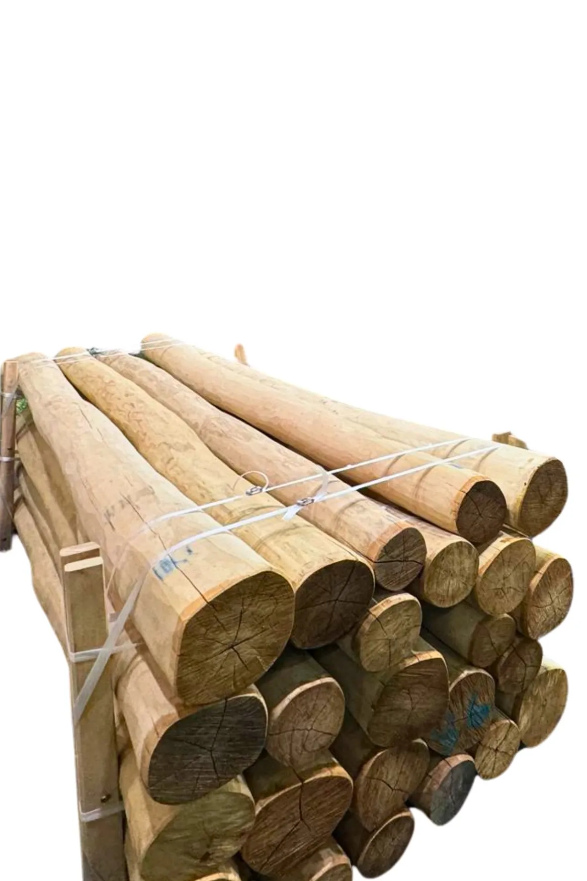 16 x 300 cm Robinie Rund