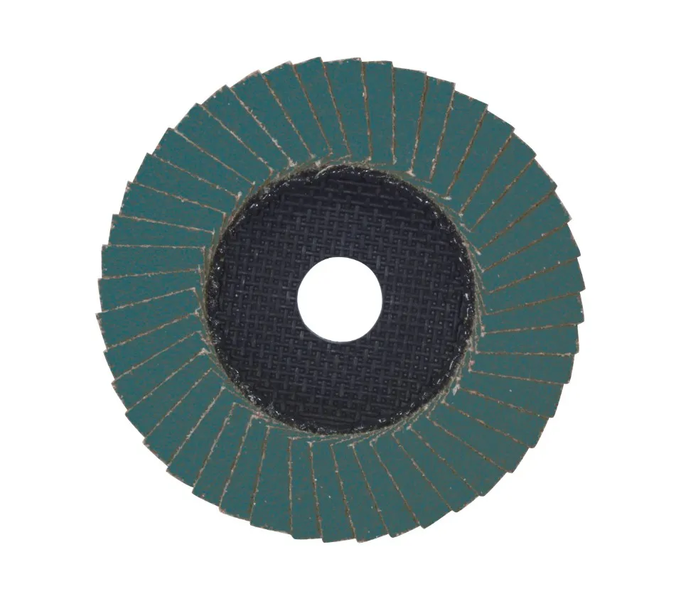 \\server\GDaten\Logic Artikelfotos\Milwaukee\Zubehör\FlexScheibe80.jpg \\server\GDaten\Logic Artikelfotos\Milwaukee\Zubehör\FlexScheibe80.jpg